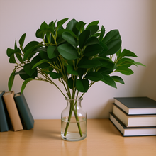 Artificial Rubber Plant Bunch - Single Stick (Height -30cm x Width -25cm)