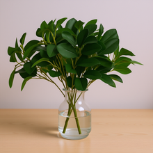 Artificial Rubber Plant Bunch - Single Stick (Height -30cm x Width -25cm)