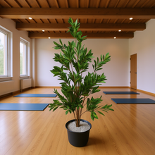 Green Croton Plant – 5 Feet