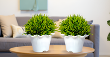 Artificial Grass Topiary in mini blossom pot (Height : 13.5 cm) Set of 2