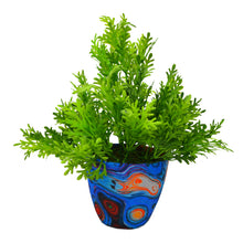 Artificial Parsley Plant in Texture Pot