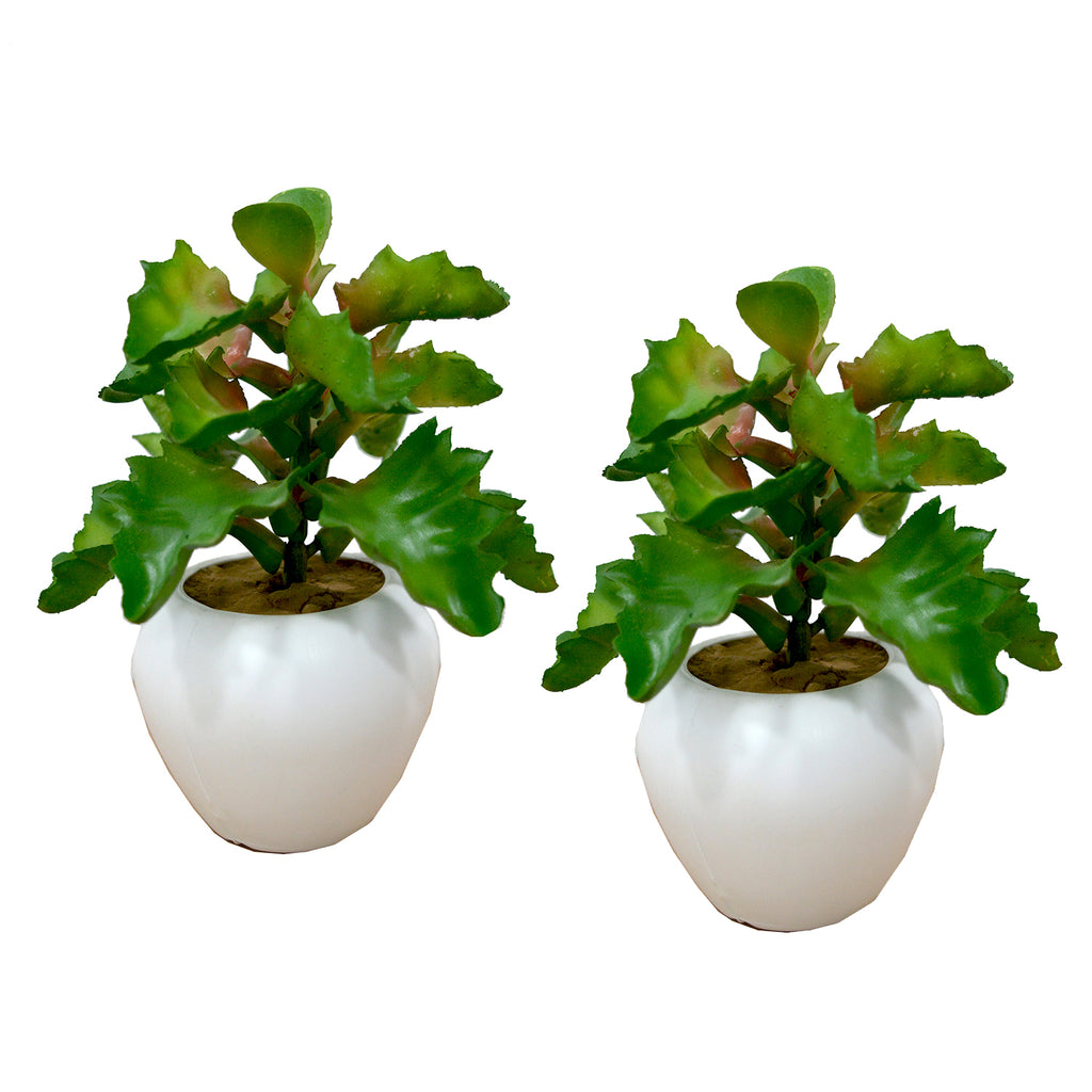 artificial-cactus-plant-set-of-2-with-small-apple-pot-fancy-mart