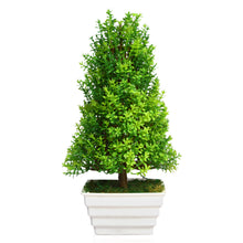 Artificial Cone Bonsai in Topaz Pot (Height : 31 cm)