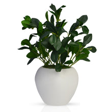 Artificial Rubber Plant Big in Apple Pot (Height 35 cm)