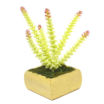 Artificial Sea Sandwort Succulent in blossom pot ( Height 22 cm )