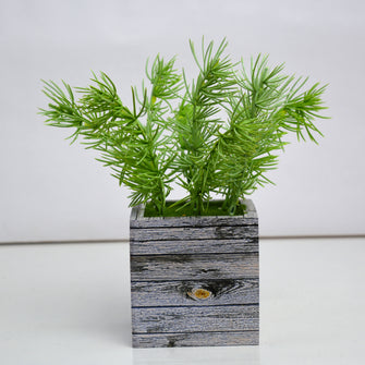 Artificial Asparagus Leaves Plant in designer pot ( Height 22 cm )