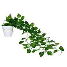 Artificial Vine Plant Falling with Pot (Natural Looking)