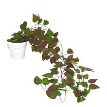 Artificial Vine Plant Falling with Pot (Natural Touch & Feel)