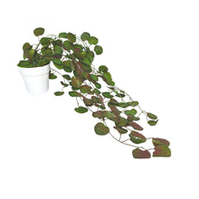 Artificial Vine Plant Falling with Pot (Natural Touch & Feel)