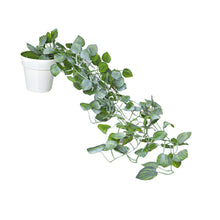 Artificial Vine Plant Falling with Pot (Natural Touch & Feel)
