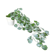 Artificial Vine Plant Falling with Pot (Natural Touch & Feel)