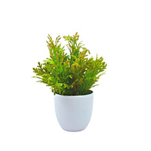 Artificial Plant Parsley in Small Pot