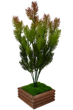 Artificial Bonsai Pine Bush in Wood Square Pot (35 cm, Multi-Color)