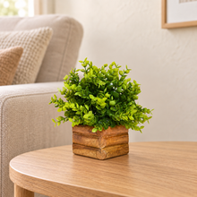 Artificial Plant Hackleberry Bunch in Wooden Pot - 17 cm Height