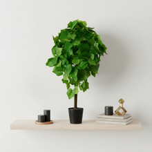Artificial Real Touch Plant without Pot (Height - 60 cm)