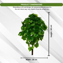 Artificial Real Touch Plant without Pot (Height - 60 cm)