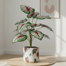 Artificial Plant 12 Leaves without Pot - Height 60 cm - Design -11