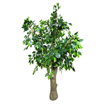 Artificial Plant without Pot - 60- Height (6 Feet) 16