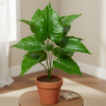 Artificial Plant 12 Leaves without Pot - Height 45 cm - Design -11