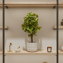 Artificial Real Touch Plant without Pot (Height - 60 cm)