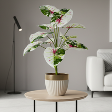 Artificial Plant 12 Leaves without Pot - Height 60 cm - Design -12