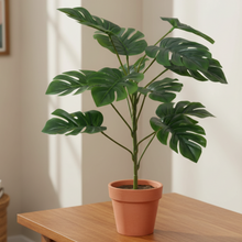 Artificial Plant 12 Leaves without Pot - Height 50 cm - Design -12