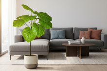 Artificial Plant 12 Leaves without Pot - Height 105 cm - Design -15