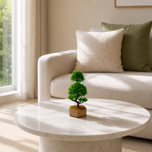 Artificial Bonsai Single Stem Tree with Hexagun Wood