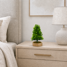 Artificial Bonsai Christmas Tree with Hexagun Wood  Pot