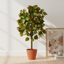 Artificial Real Touch Plant without Pot (Height - 60 cm)