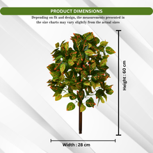 Artificial Real Touch Plant without Pot (Height - 60 cm)