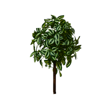 Artificial Real Touch Plant without Pot (Height - 60 cm)