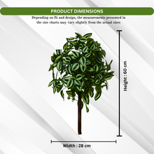 Artificial Real Touch Plant without Pot (Height - 60 cm)