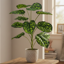 Artificial Plant 12 Leaves without Pot - Height 50 cm - Design -17
