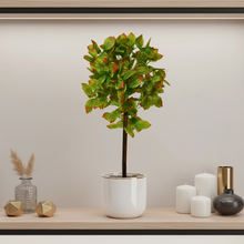 Artificial Real Touch Plant without Pot (Height - 60 cm)
