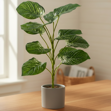Artificial Plant 12 Leaves without Pot - Height 50 cm - Design -19