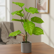 Artificial Plant 12 Leaves without Pot - Height 50 cm - Design -1