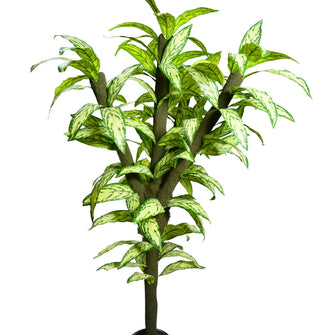 Artificial Plant Tree 6 feet height  in  Moss Stem