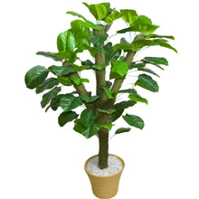 Artificial Green Plant in 4 feet Moss Stem (Without pot)