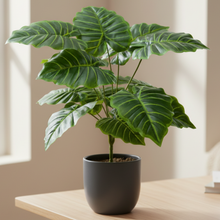 Artificial Plant 12 Leaves without Pot - Height 45 cm - Design -1