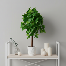 Artificial Real Touch Plant without Pot (Height - 60 cm)