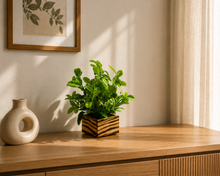 Fancy Mart Artificial Citrus Lime Plant with Wood Pot (Green)