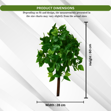 Artificial Real Touch Plant without Pot (Height - 60 cm)