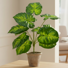 Artificial Plant 12 Leaves without Pot - Height 45 cm - Design -21