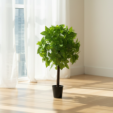 Artificial Real Touch Plant without Pot (Height - 60 cm)