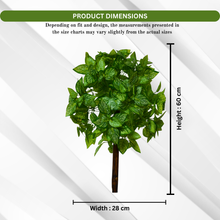 Artificial Real Touch Plant without Pot (Height - 60 cm)