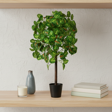 Artificial Real Touch Plant without Pot (Height - 60 cm)