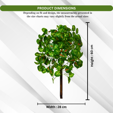 Artificial Real Touch Plant without Pot (Height - 60 cm)