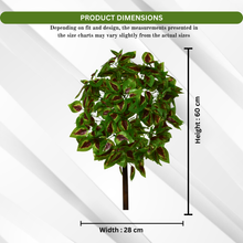 Artificial Real Touch Plant without Pot (Height - 60 cm)