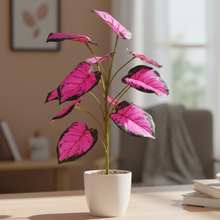 Artificial Plant 12 Leaves without Pot - Height 50 cm - Design -2